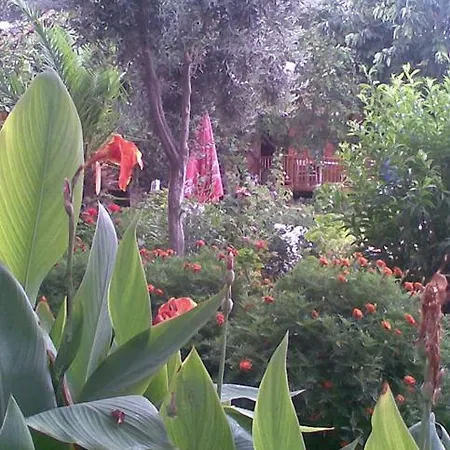 Bykara Hotel Side