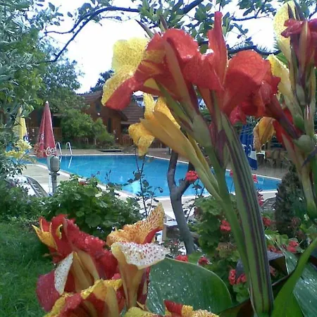 Bykara Hotel 2*
